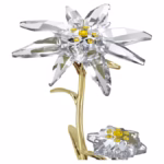 Florere 130th Anniversary Bell Jar - Image 5