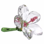 Florere Hibiscus Small - Image 4