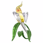 Idyllia Cockatiel - Image 3