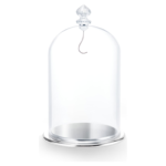 Bell Jar Display large