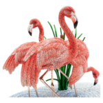 Crystal Myriad Flamingos - Image 4
