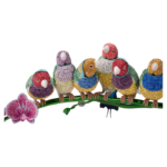 Crystal Myriad Gouldian Finches - Image 4