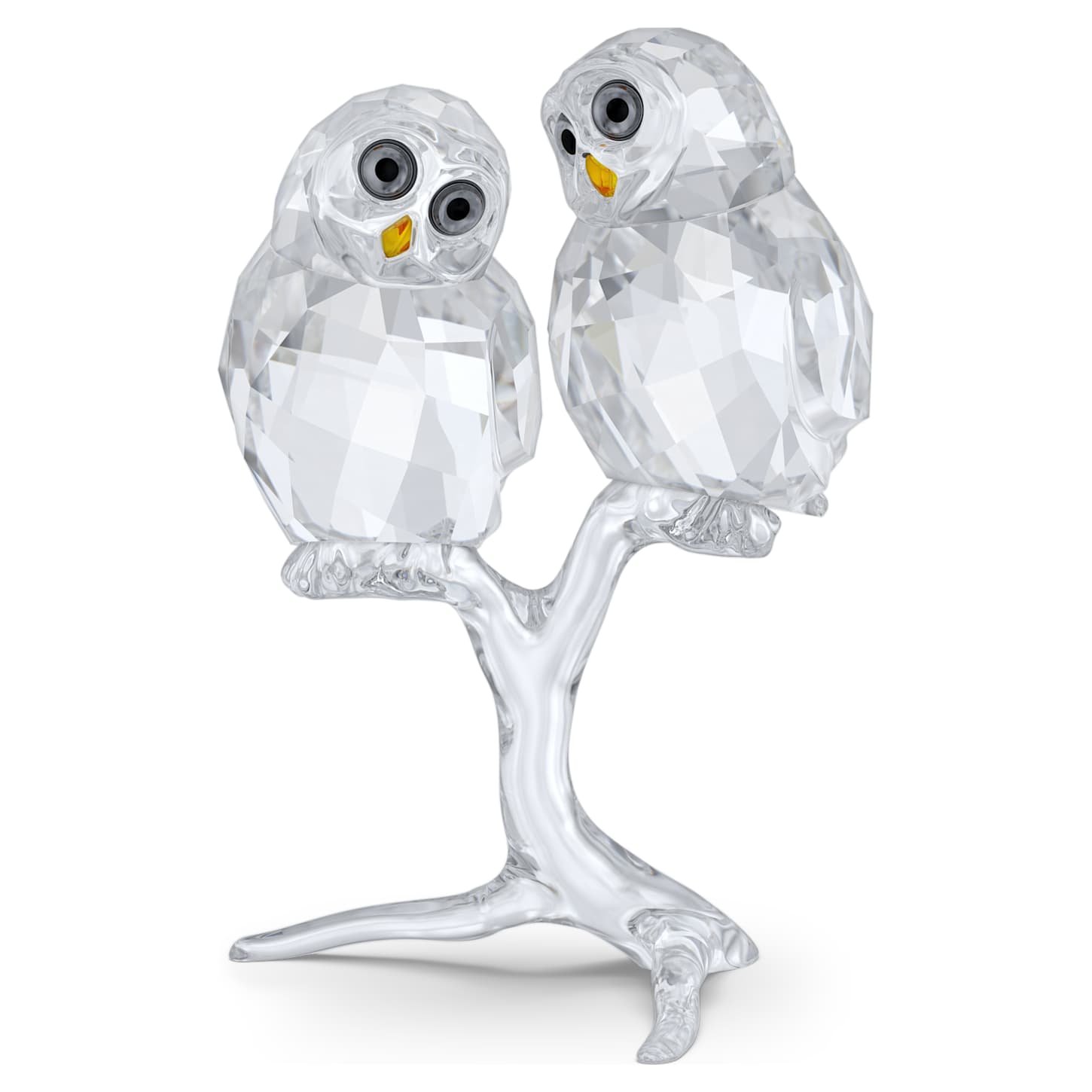 Feathered Beauties Owl Couple