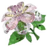 Florere Camellia - Image 2