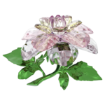Florere Camellia - Image 3
