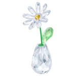 Flower Dreams Daisy