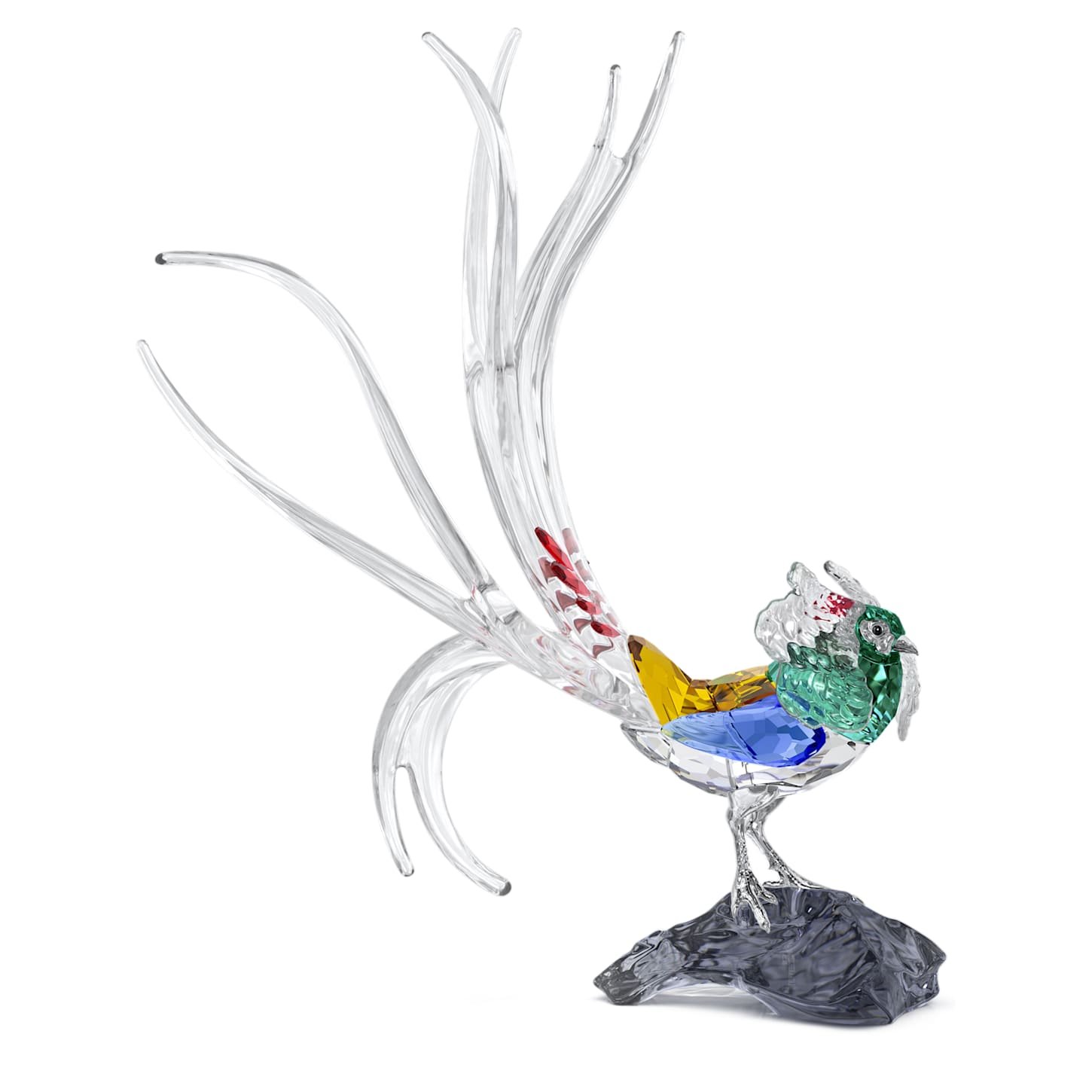 Idyllia SCS Annual Edition 2026 Lady Amherst’s Pheasant