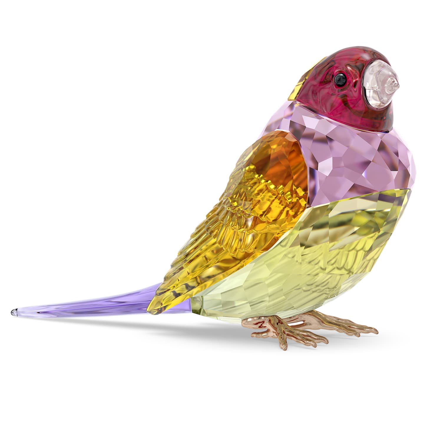 Idyllia SCS Gouldian Finch Large