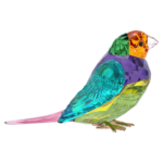Idyllia SCS Gouldian Finch Small - Image 3