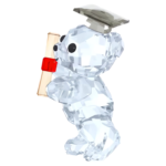 Kris Bear - Graduation - Image 2