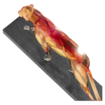 Limited Edition The Cheetah - Image 4