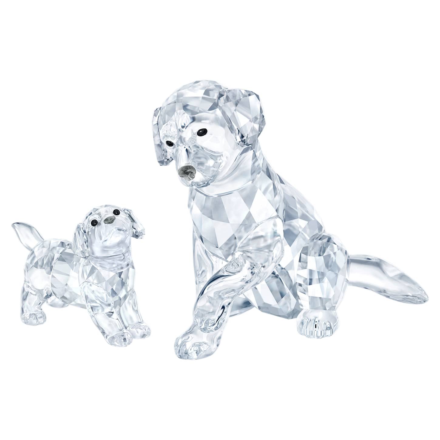 Peaceful Countryside Labrador Family