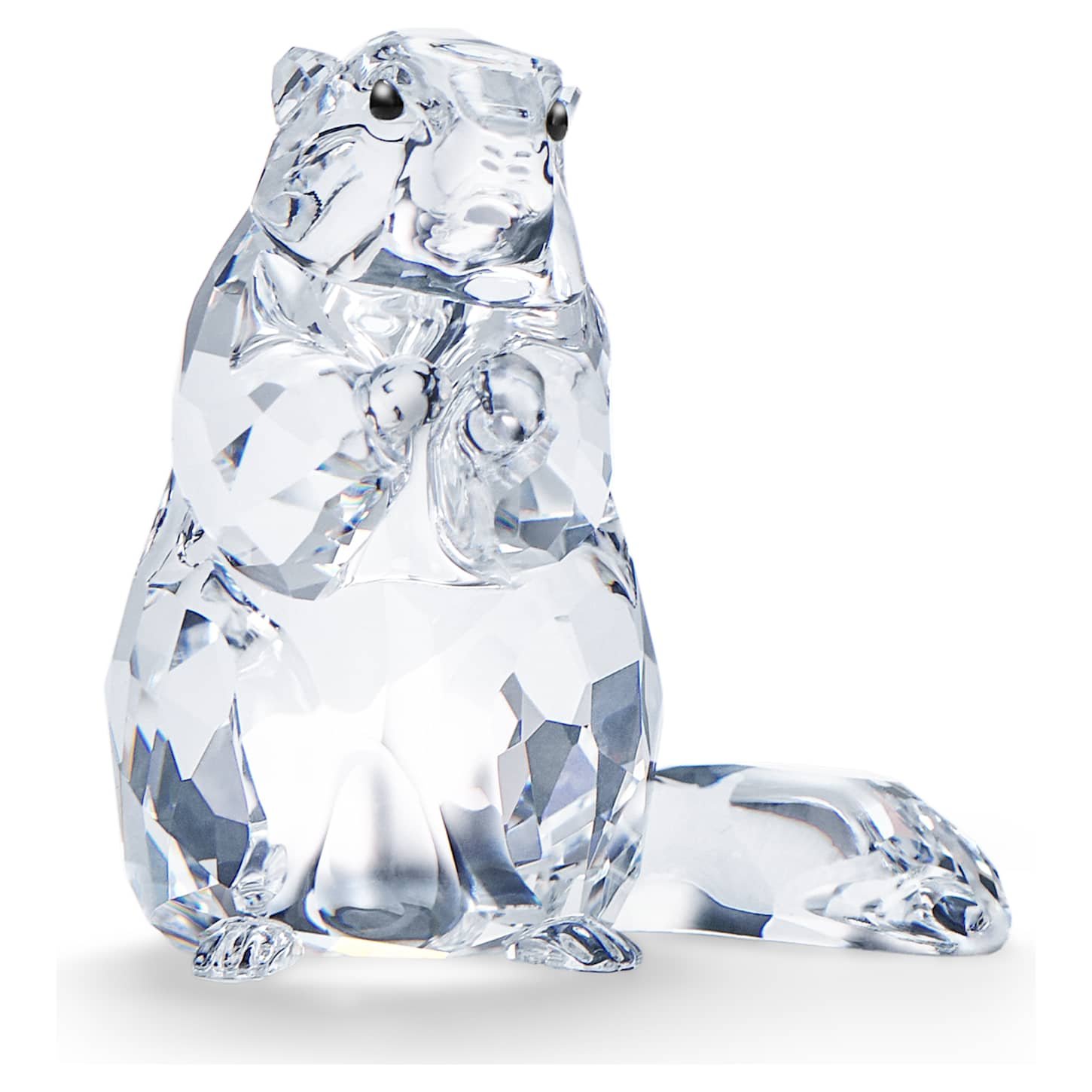SCS Marmot (Event Piece 2020)