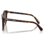 Sunglasses Butterfly shape, SK6031, Brown - Image 3