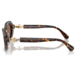 Sunglasses Octagon shape, SK6028, Brown - Image 3
